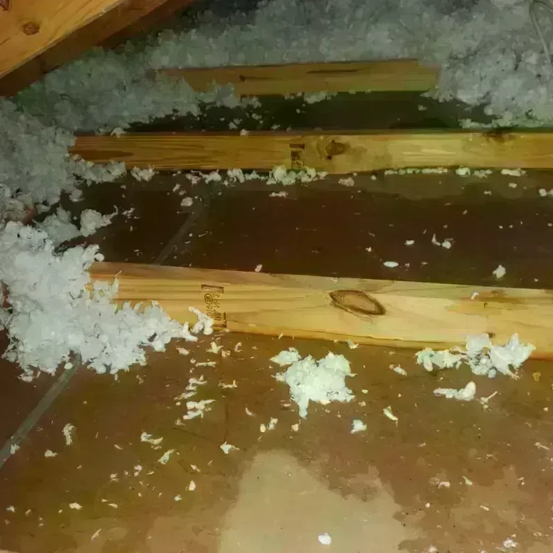 Attic Water Damage in Beaver, WV